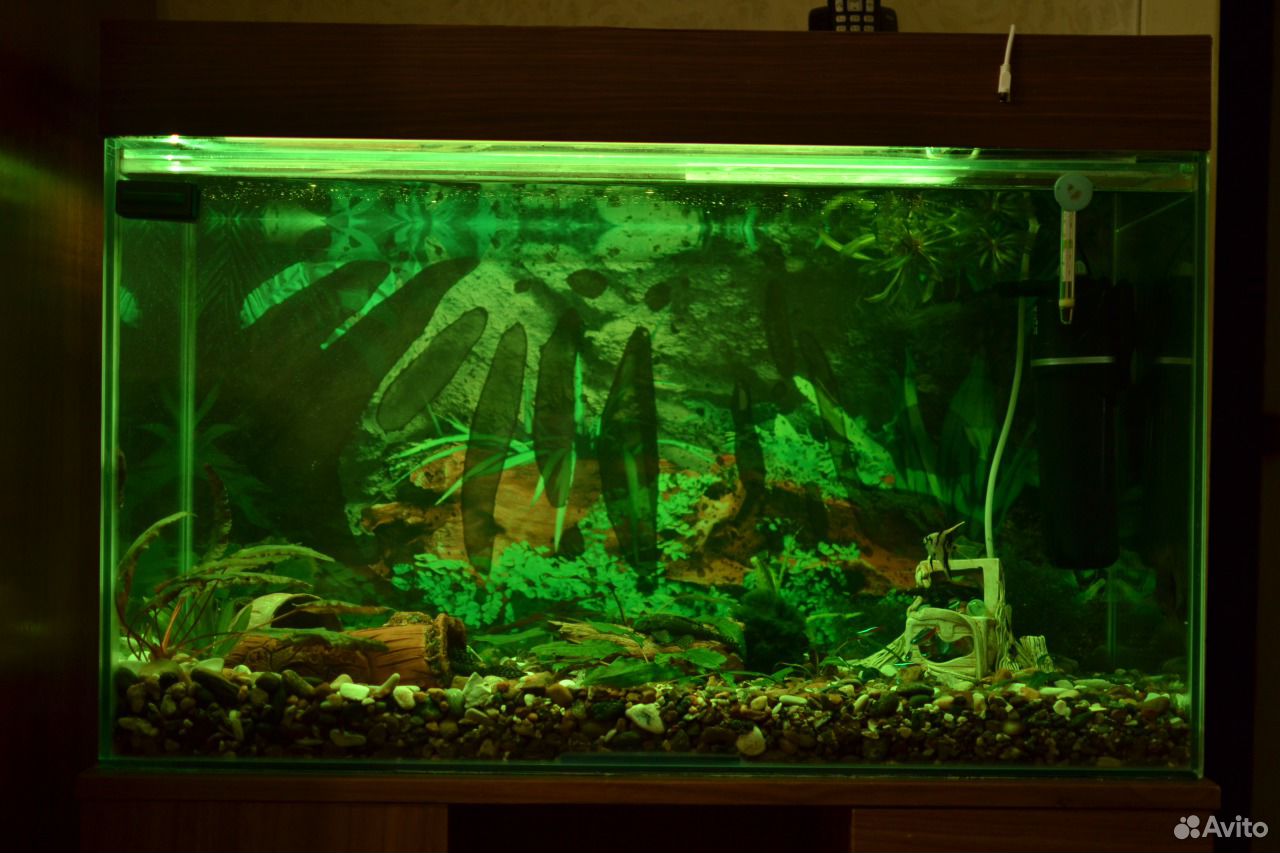 Подсветка для аквариума купить на Зозу.ру - фотография № 5