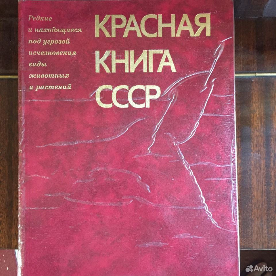 Купить Красная Книга Ссср