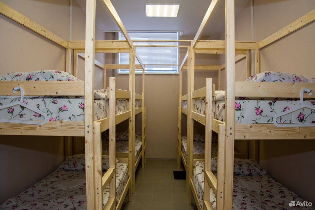 хостел сова на лабутина. смарт хостел сова. хостел объячево сова. хостел сова санкт-петербург. хостелы в москве недорогие.