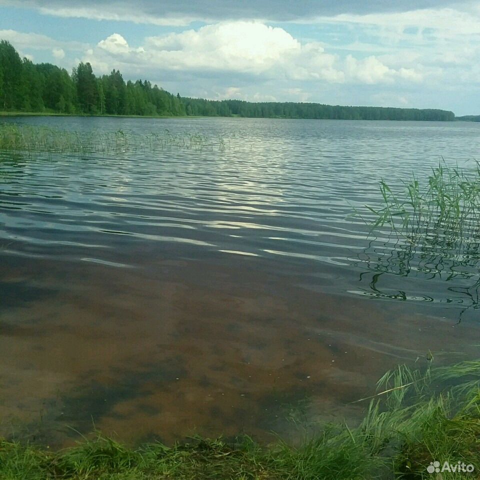 Плесецкие озера