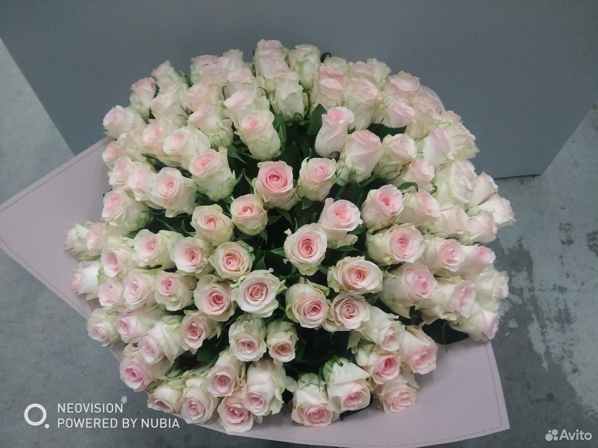 Роза 101 шт. 60 (см) купить на Зозу.ру - фотография № 2