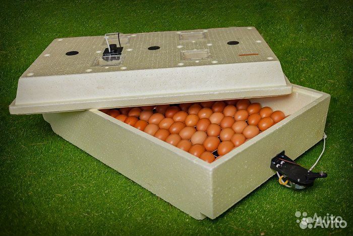 Инкубатор Золушка 98. Инкубатор Золушка автоматический. Инкубатор Золушка 98 яиц комплектация. Инкубатор Золушка 105 яиц.