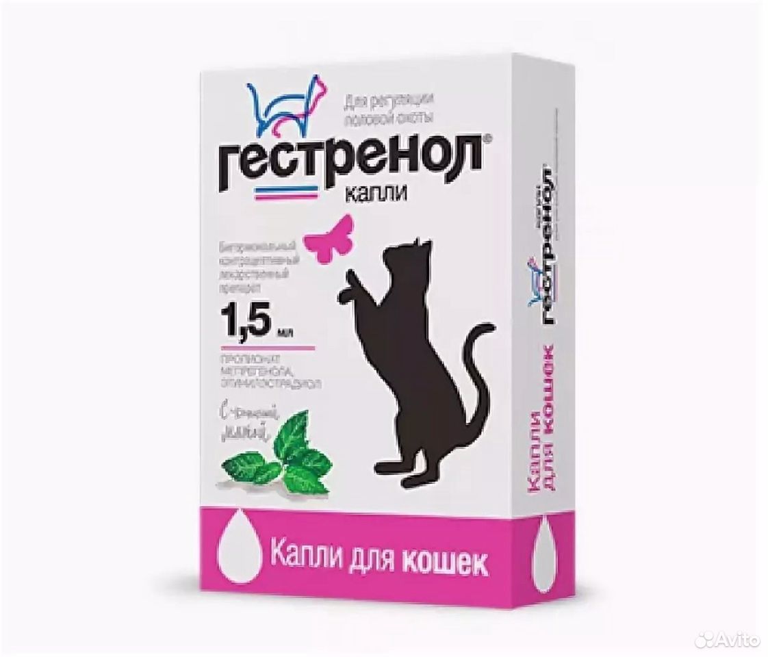 Капли для кошек Гестренол купить на Зозу.ру - фотография № 1
