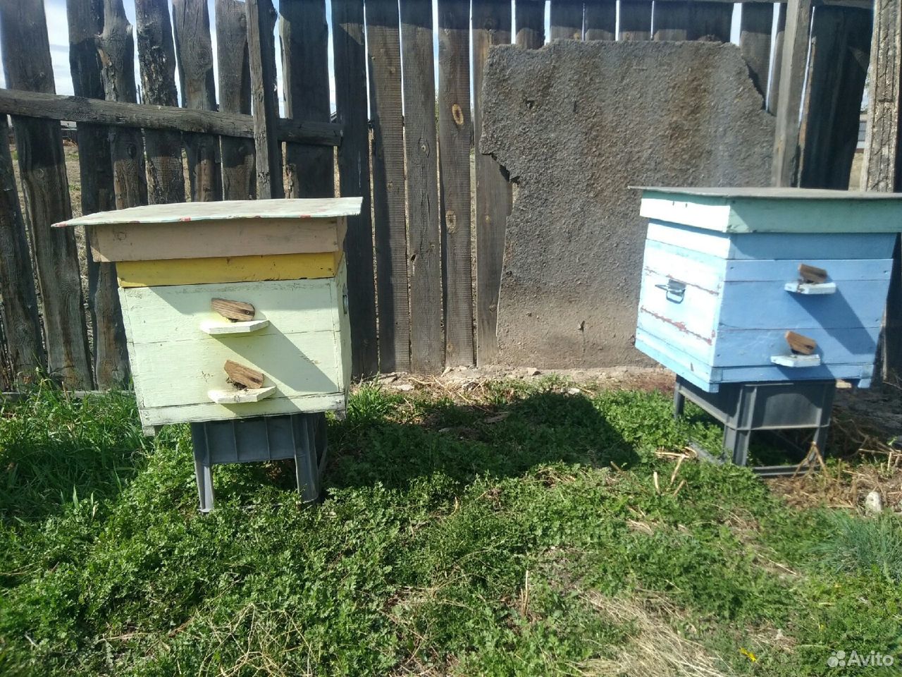 Пчёлы.Улья купить на Зозу.ру - фотография № 3