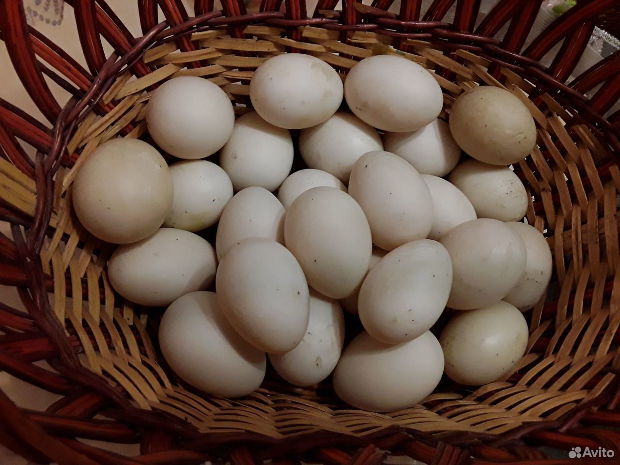 Яйцо индоуток, домашних кур купить на Зозу.ру - фотография № 1