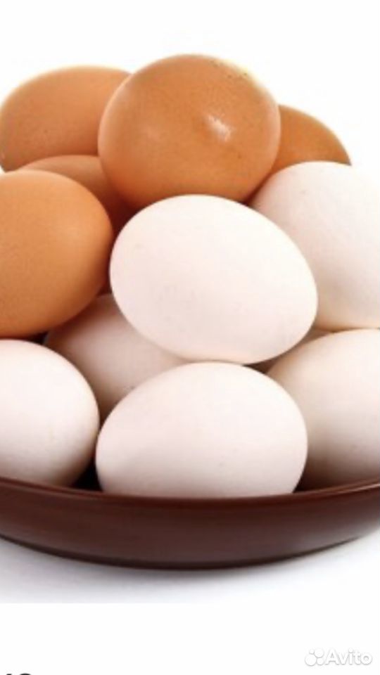 Яйца домашних куриц купить на Зозу.ру - фотография № 1