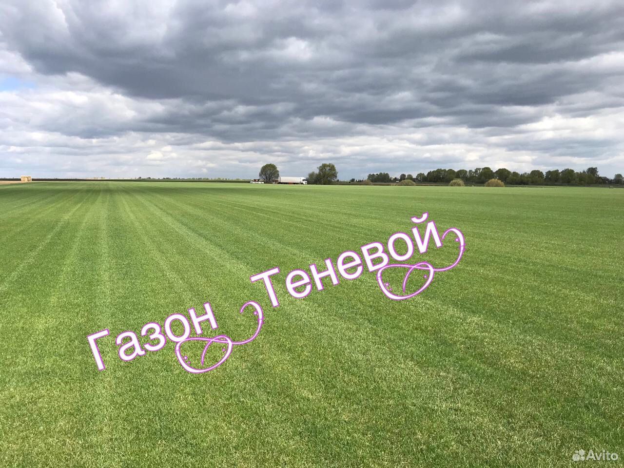 Рулонный газон от производителя купить на Зозу.ру - фотография № 2