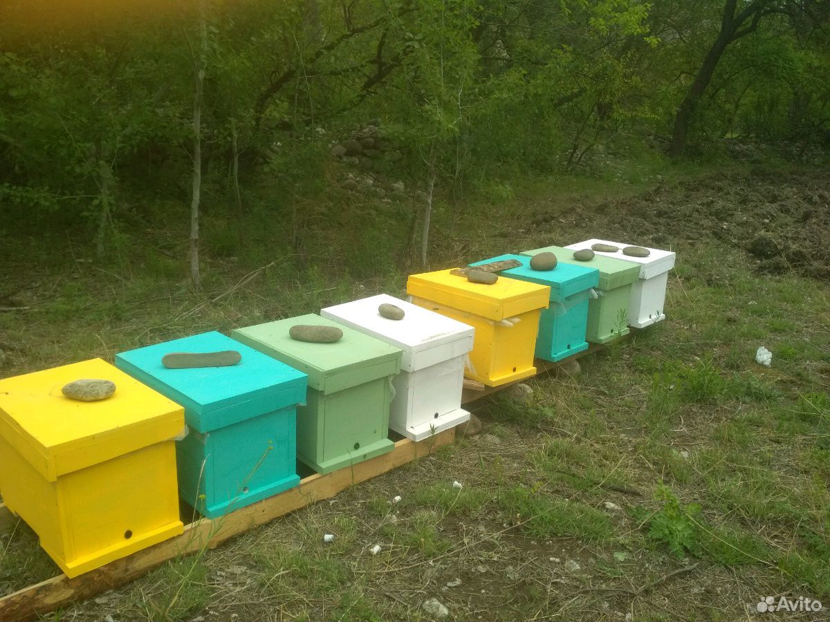 Пчела пакеты купить на Зозу.ру - фотография № 5