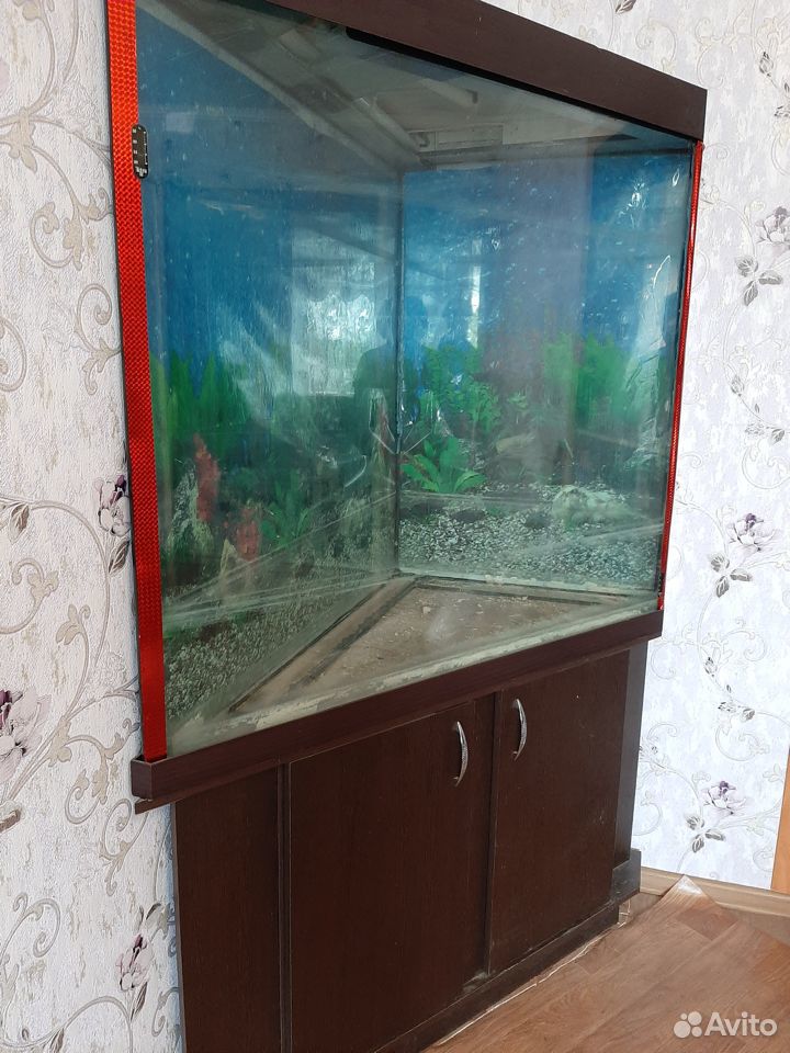 Продам угловой аквариум на 450 литров с тумбой купить на Зозу.ру - фотография № 2