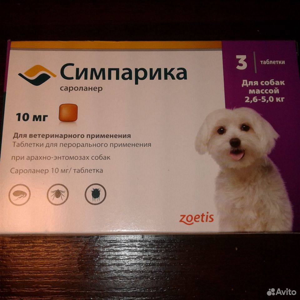 Для собак купить на Зозу.ру - фотография № 1