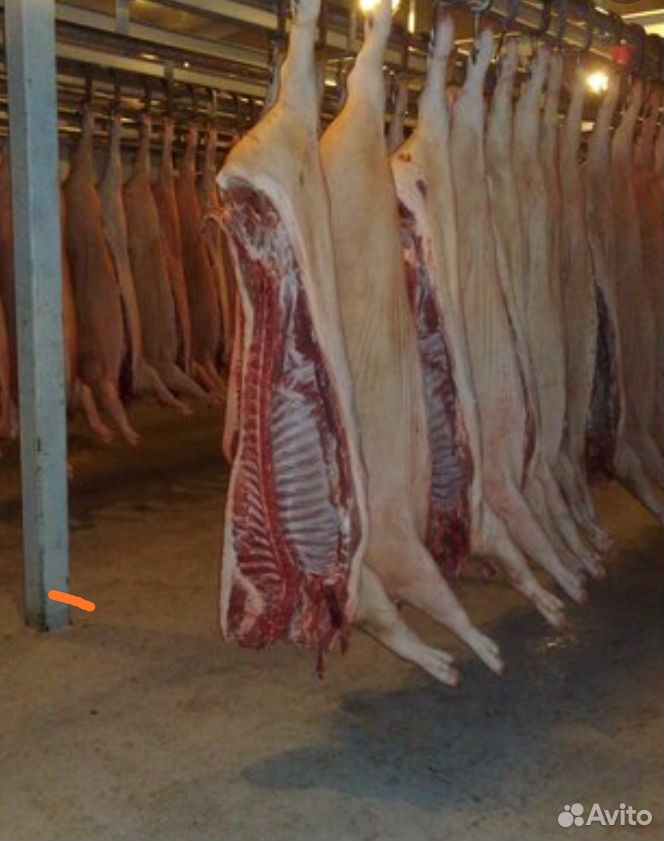 Мясо свинина купить на Зозу.ру - фотография № 2