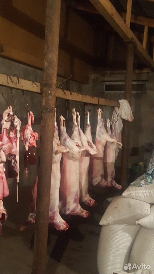Продам баранов живым весом и мясом купить на Зозу.ру - фотография № 3