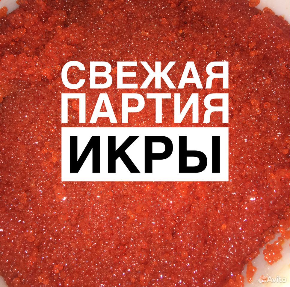 Свежая красная икра вылов 2020 купить на Зозу.ру - фотография № 1