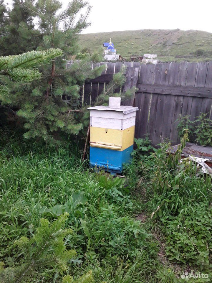 10 ульев с пчелами купить на Зозу.ру - фотография № 1