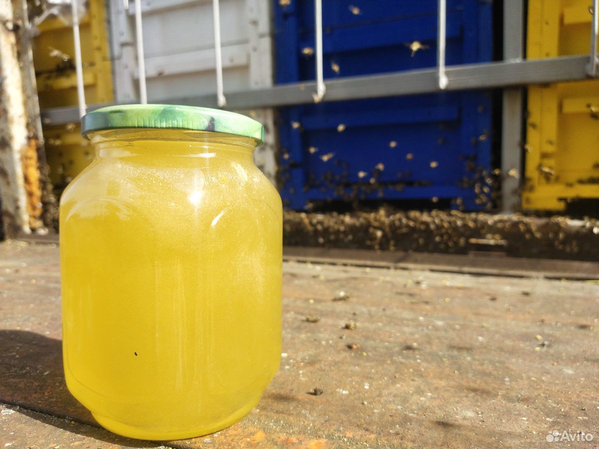 Липовый мёд купить на Зозу.ру - фотография № 2