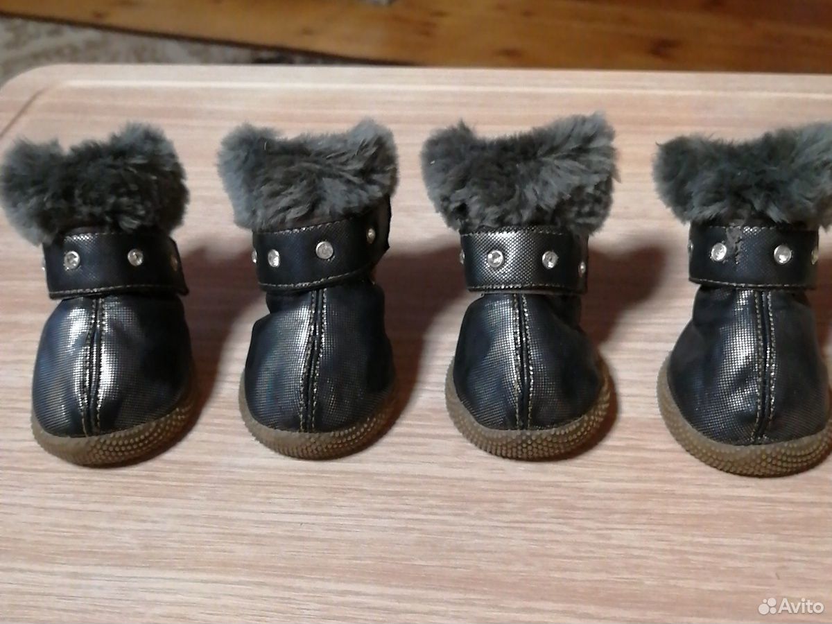 Продам ботиночки для собачки. размер 4 покупала на купить на Зозу.ру - фотография № 1