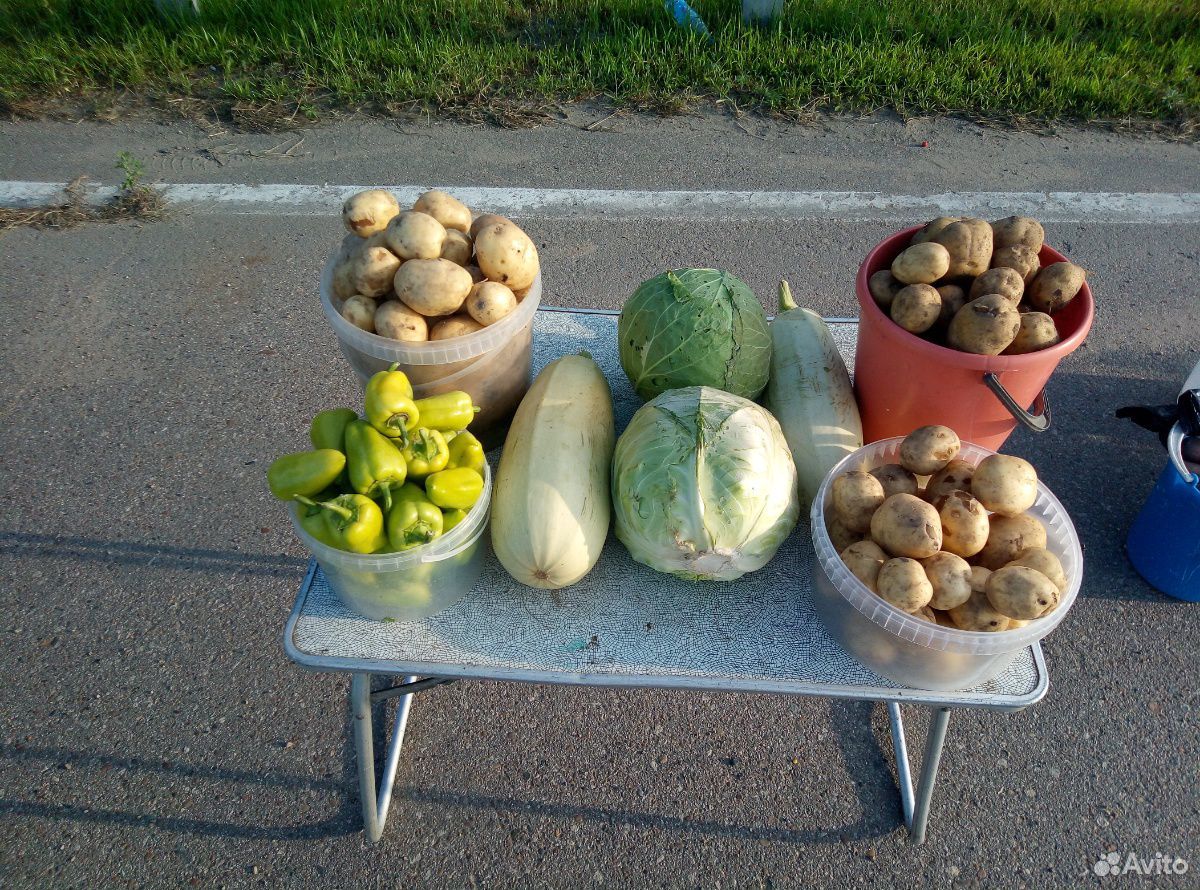 Овощи купить на Зозу.ру - фотография № 1