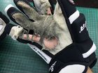 Ремонт хоккейных перчаток / краг объявление продам