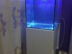 Продам аквариум (куб) с тумбой