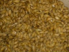 Ячмень пшеница комбикорм примексы