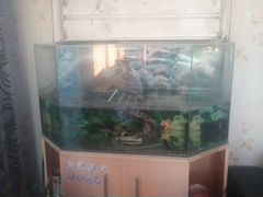 Аквариум (200л), комод под аквариум
