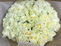 Моно букет из 51 белой розы Доставка