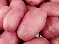 Скороспелый посадочный картофель импала, розара