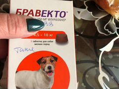 Таблетки для собак