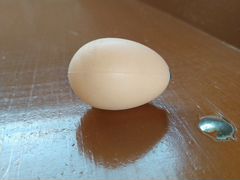 Яйцо подсадное