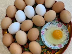 Куриные домашние яйца в Волоколамске