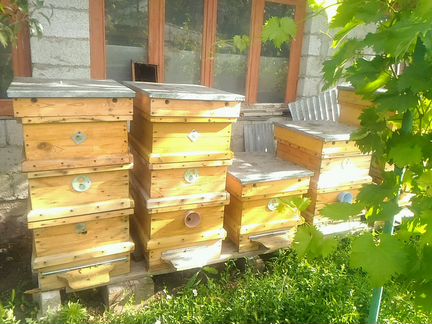 Пчелы, ульи Рут (4корпуса) новые с инвентарем
