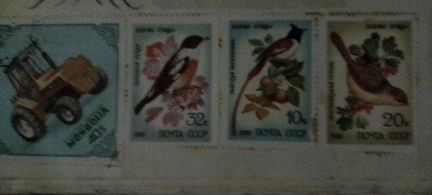 Почтовая марка 1981