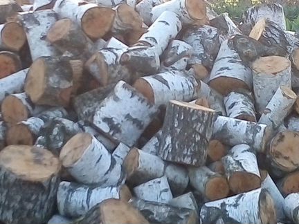 Дрова доставка дров в Гатчина и Гатчинском районе