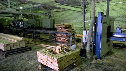 Ищу партнера в глубокой переработке древесины