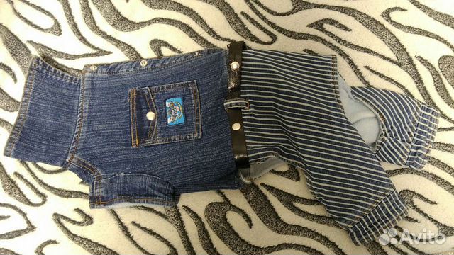 Одежда для собак