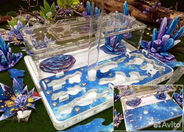 Муравьиная ферма с муравьями