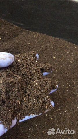 Удобрение (Биогумус)