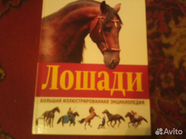 Большая иллюстрированная энциклопедия лошади