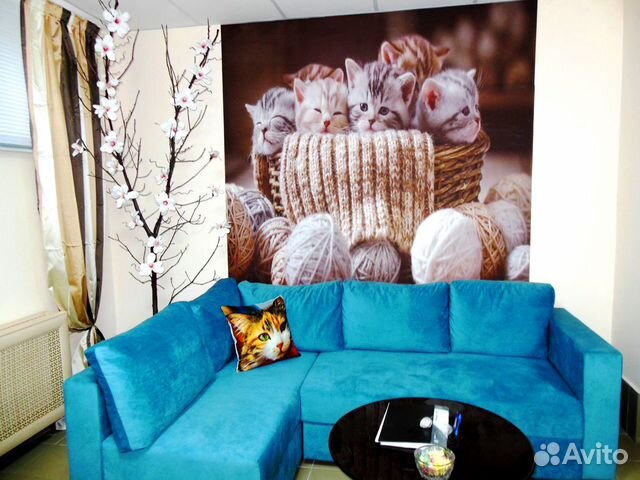 Зоогостиница 