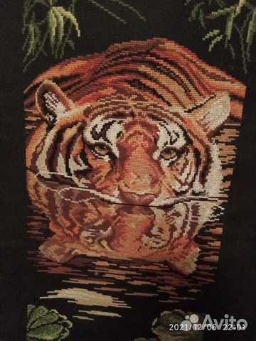 Тигр.водяной покровитель.2022 года