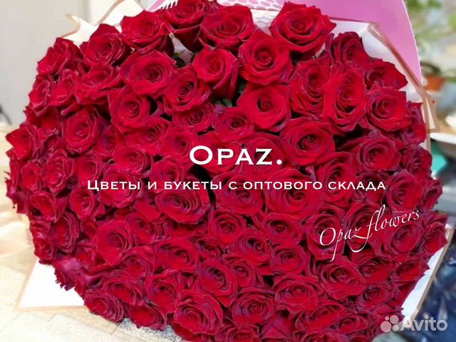 Купить Букет 101 Роза Саратов