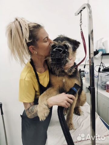 Грумер стрижка собак