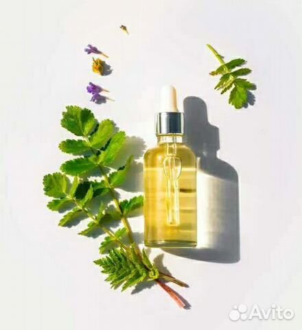 Камфора и ментол масло