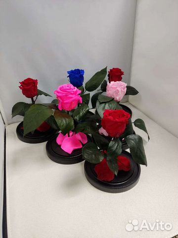 Роза в колбе оптом и в розницу