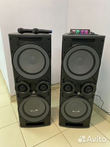 Акустическая система каоаоке ElTronic 12N