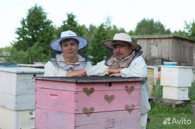 Пчелы, пчелопакеты купить на Зозу.ру - фотография № 1