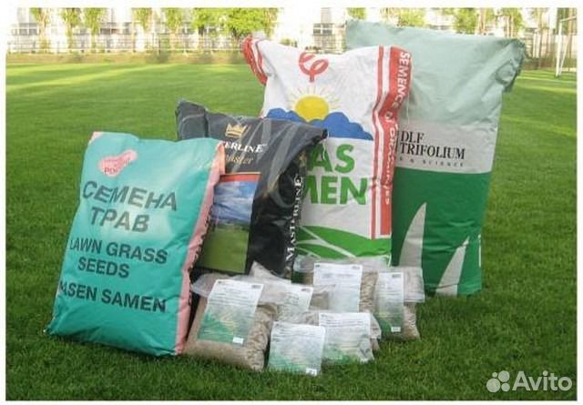 Семена газонной травы (газон)