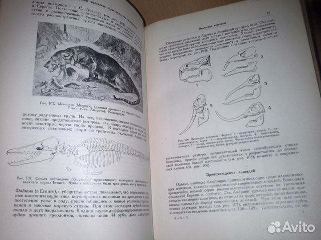 Человек и природа. Том 1-й и 5-й Человек и природа. Том 1-й и 5-й