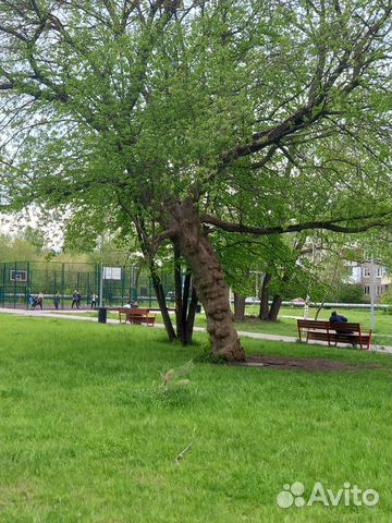 

2-к. квартира, 43,9 м², 3 кровати