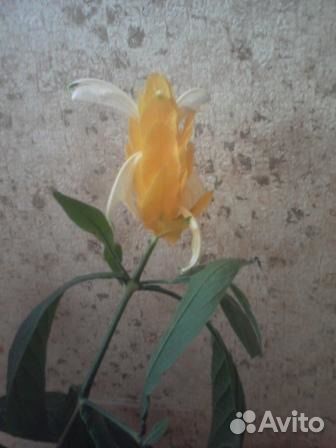 Продам автокресло